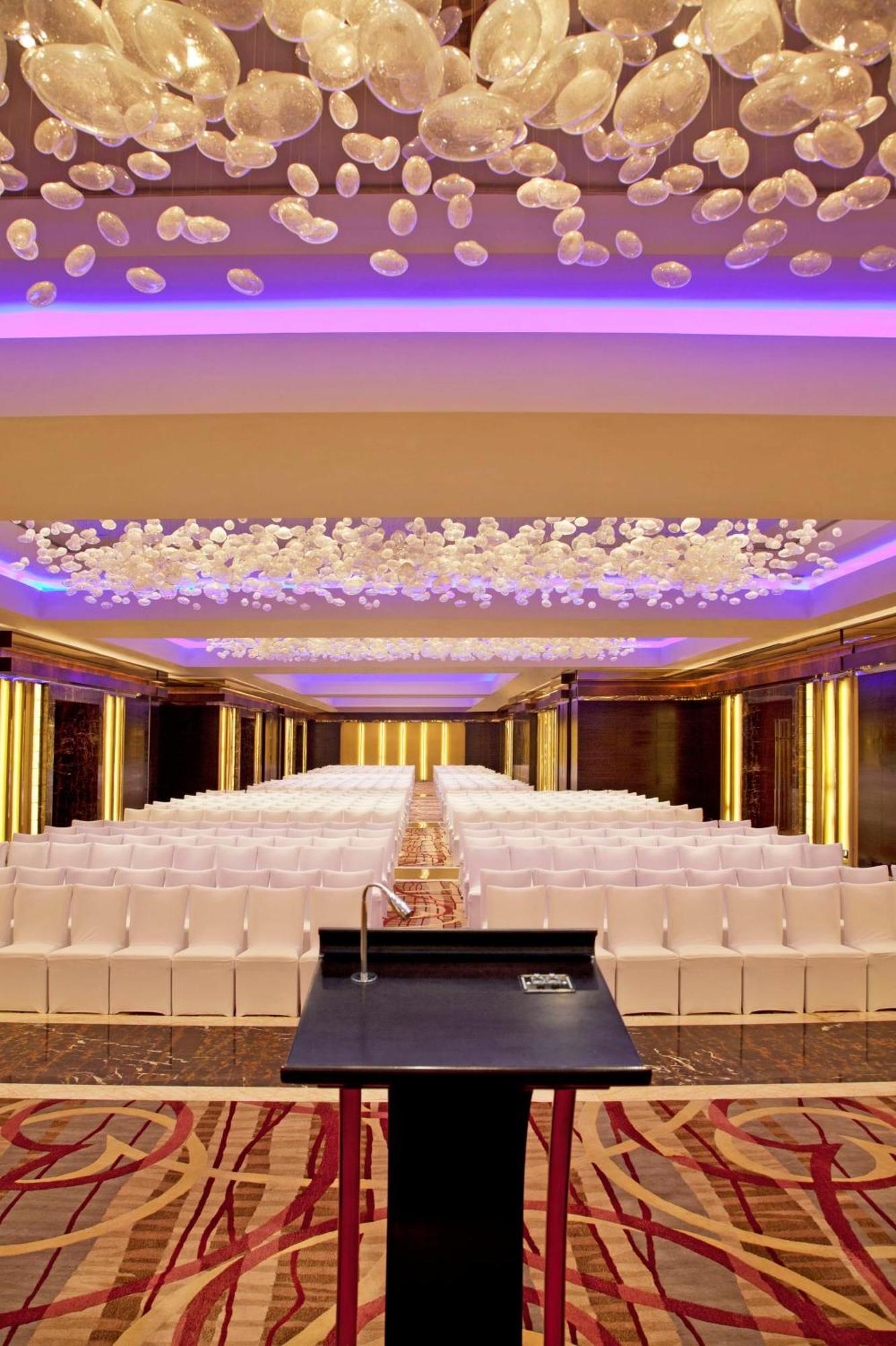 Radisson Blu Plaza Delhi Airport Hotel