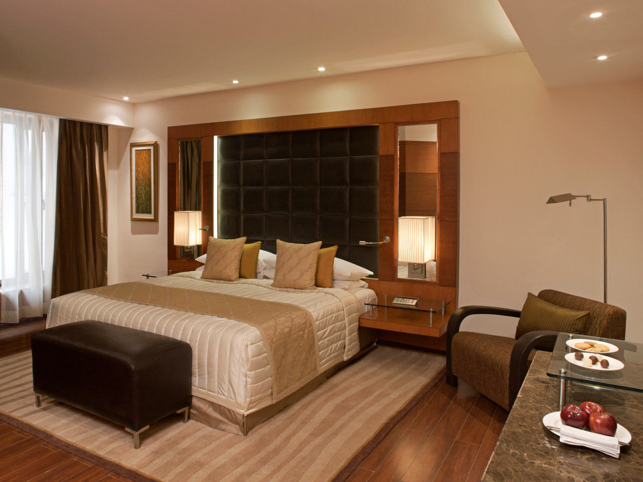 Hotel Radisson Blu Plaza Delhi Airport
